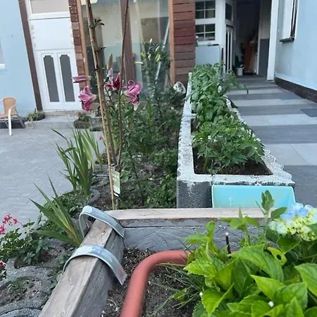 Antike Wohnmoeglichkeit Kurz Und Langfristig 50qm 1 Og Mit Balkon Apartment