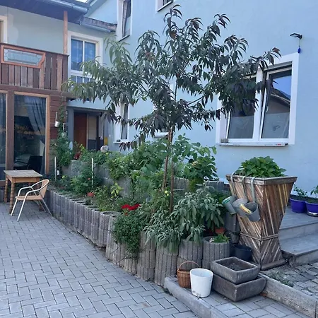 Antike Wohnmoeglichkeit Kurz Und Langfristig 50qm 1 Og Mit Balkon Lauchhammer